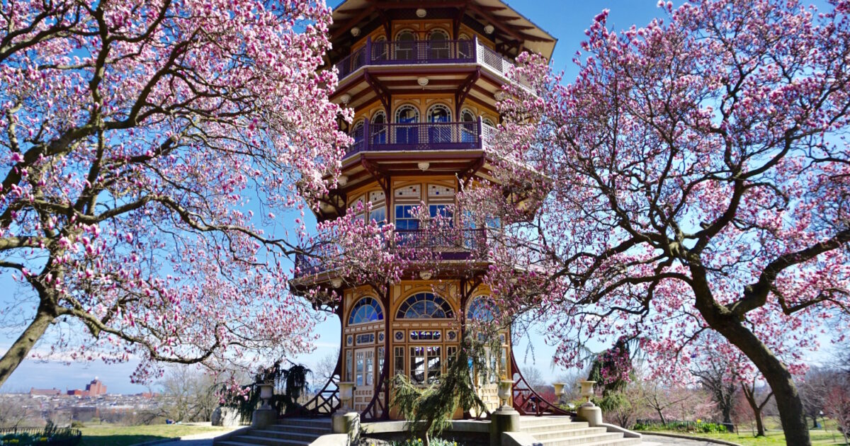 Baltimore Pagoda in Patterson Park flanked by cherry trees in bloom