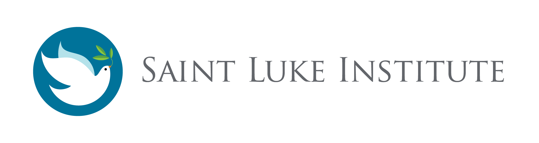 St. Luke Institute