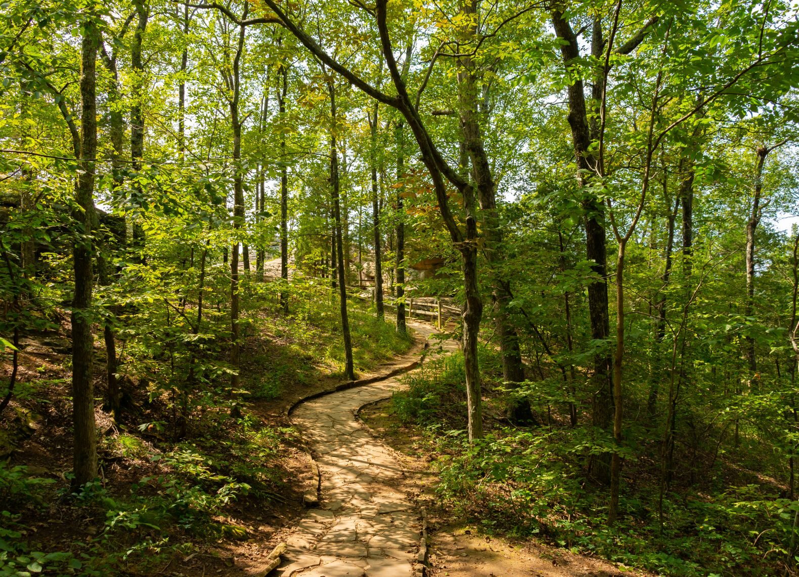 Hiking,Trail,Leading,To,The,Garden,Of,The,Gods,Overlooks.